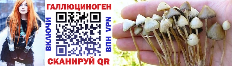 дарк нет какой сайт  Славск  МЕГА сайт  Галлюциногенные грибы MAGIC MUSHROOMS  дарнет шоп 